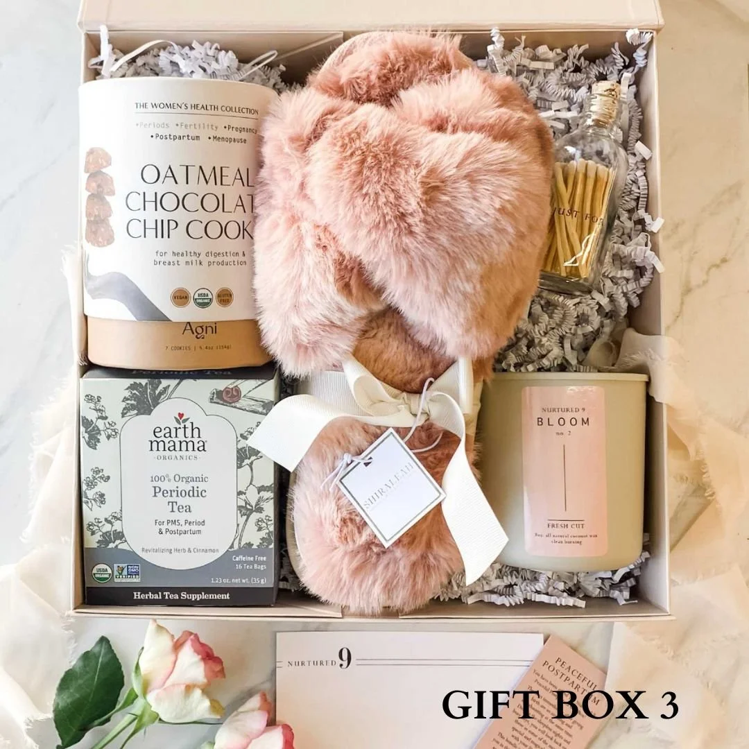 Postpartum subscription best sale box
